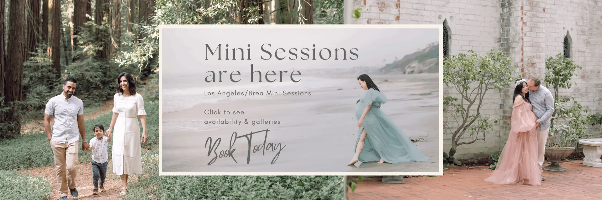 Los-Angeles-Mini-Sessions