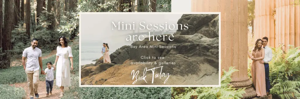 Bay Area family photographer